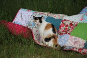 FINISHED QUITS JUNE 15 001