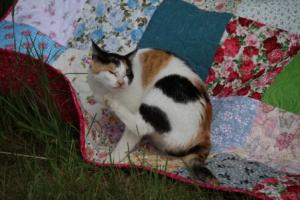 FINISHED QUITS JUNE 15 002